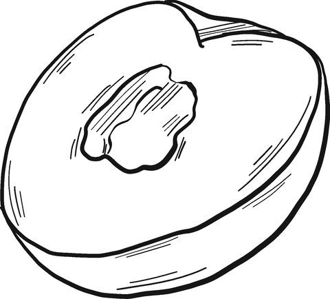 Half Peach Coloring Page